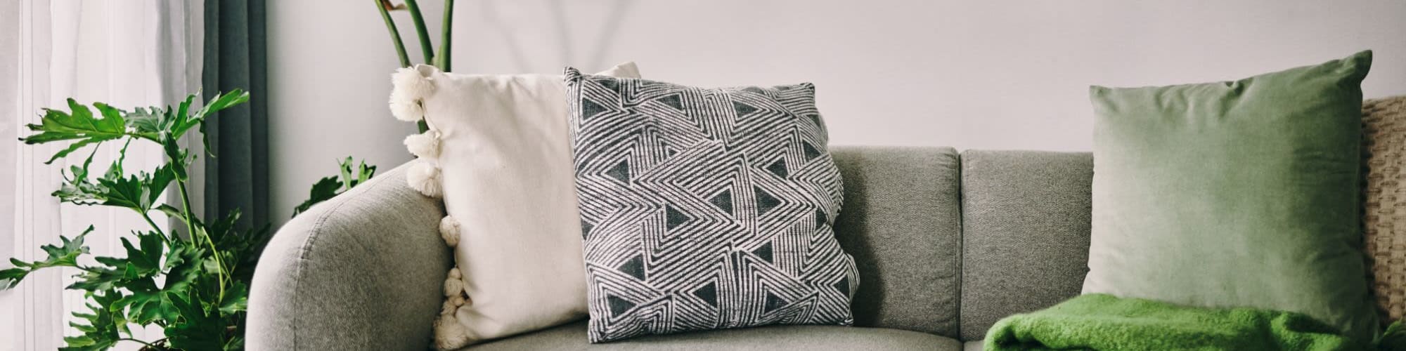 Comfy Couch with Several Throw Pillows on it and a Plant Next to the Couch at 1221 Vallejo Apartments in Novato, California
