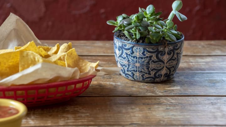 A table with red basket of chips and a potted plant