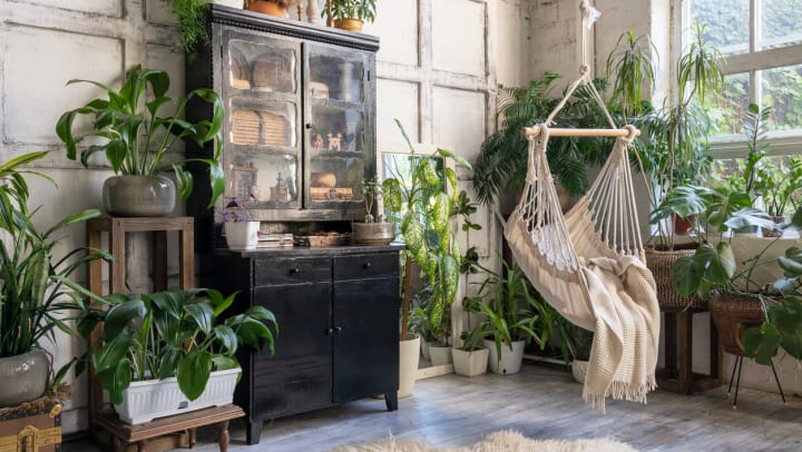 Cozy rope swing in living room with green houseplants in flower pots and black vintage chest of drawers