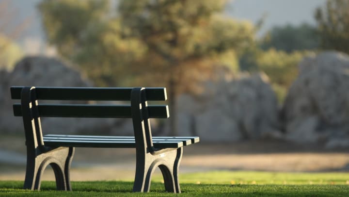 An empty park bench on a grass field at a free outdoor park