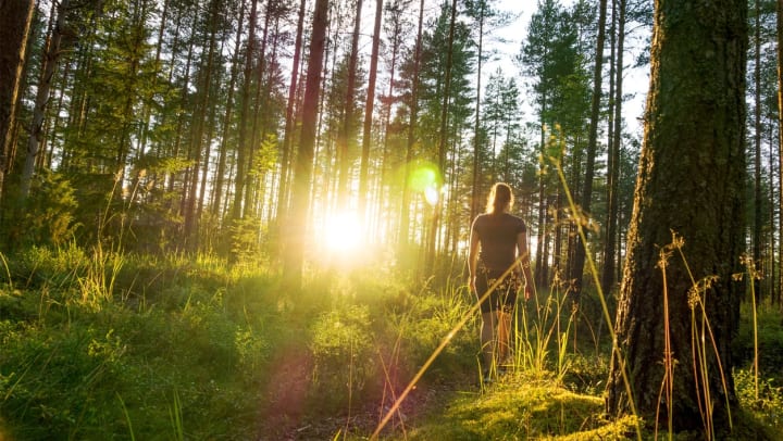 A woman walks along a trail at an arboretum