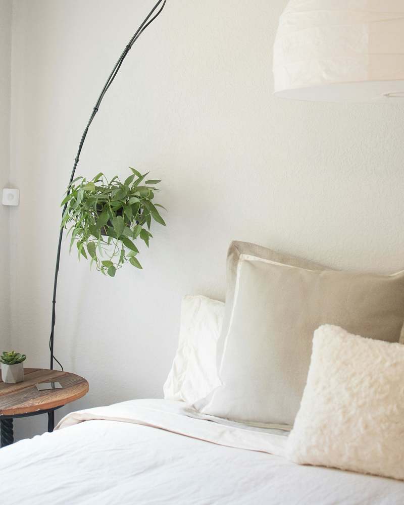 Bright bedroom with houseplant at Vivo Living Summerville in Summerville, South Carolina