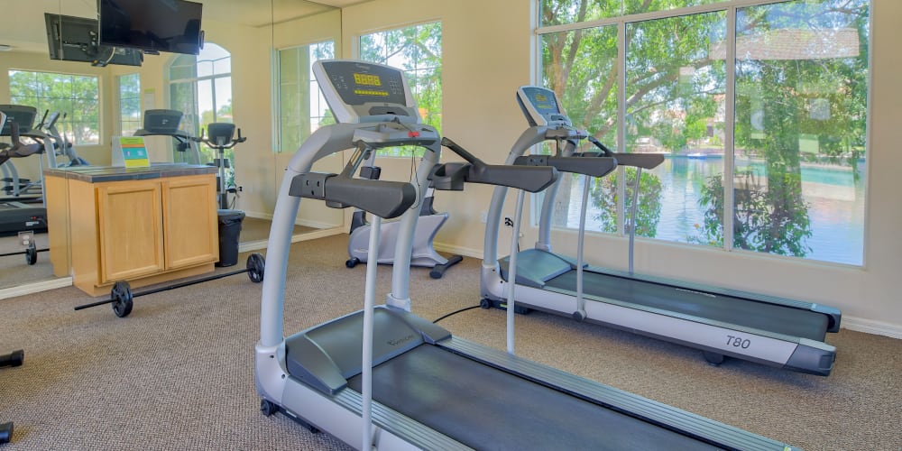 Fitness center at Serena Shores Apartments in Gilbert, Arizona