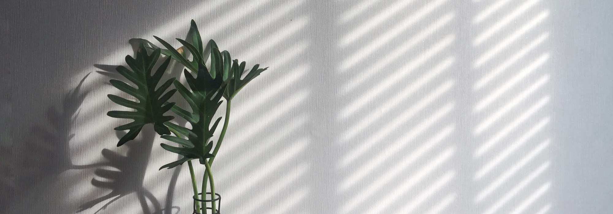 Privacy Policy at Warwick at Westchase in Houston, Texas