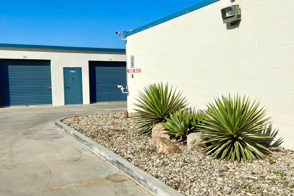 cacti plants outside at Storage Stop Norco in Norco, California