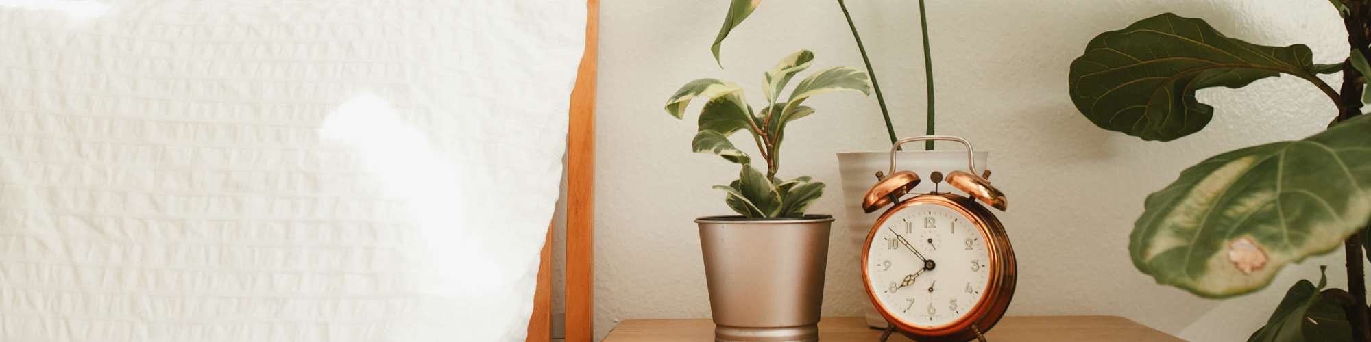 Qualifications | Villa Nueva in San Antonio, Texas