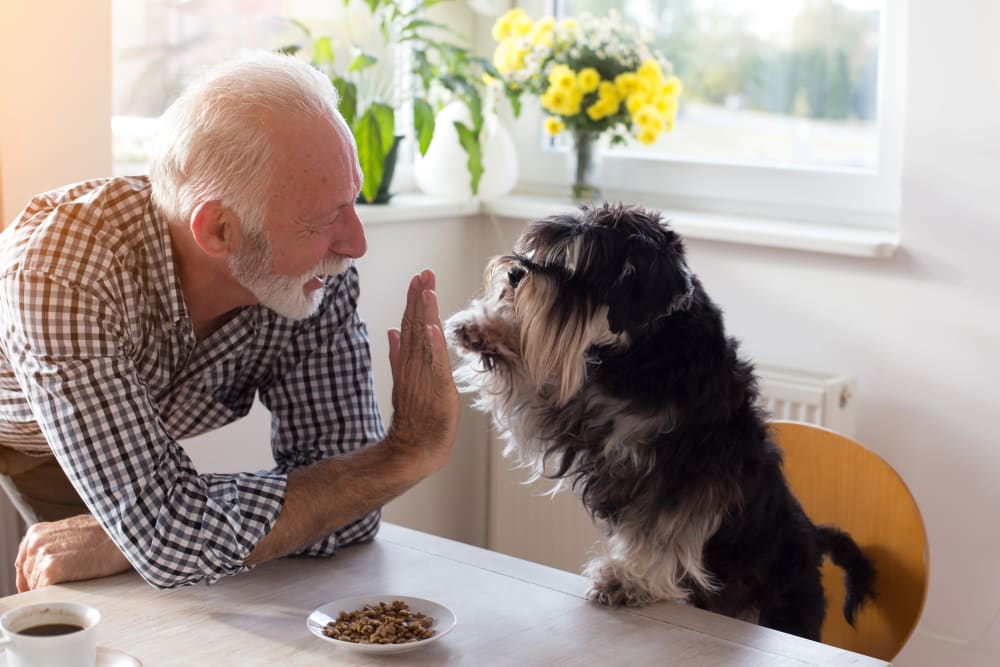 A dog and his owner enjoying their new home at Riverstone Apartments in Bolingbrook, Illinois