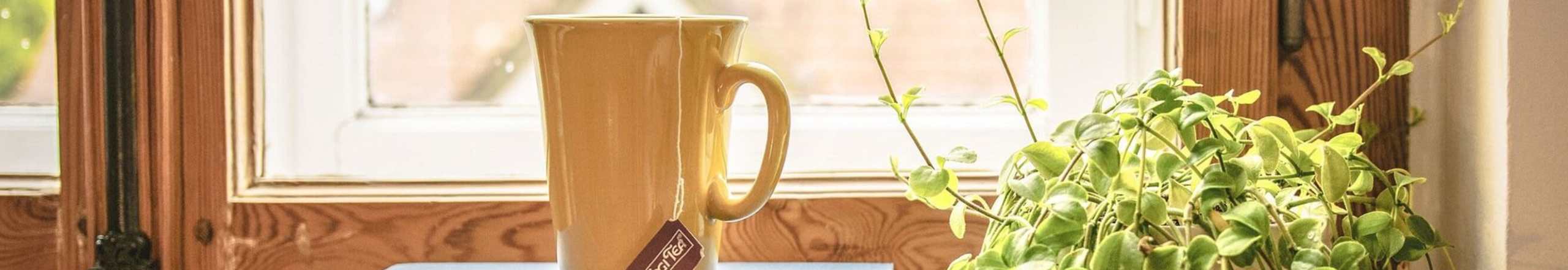 Residents | Little Neck Village in Marion, Massachusetts