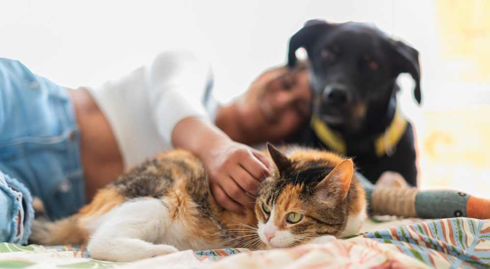 Resident with their pets at Fusion at Neon in Norfolk, Virginia