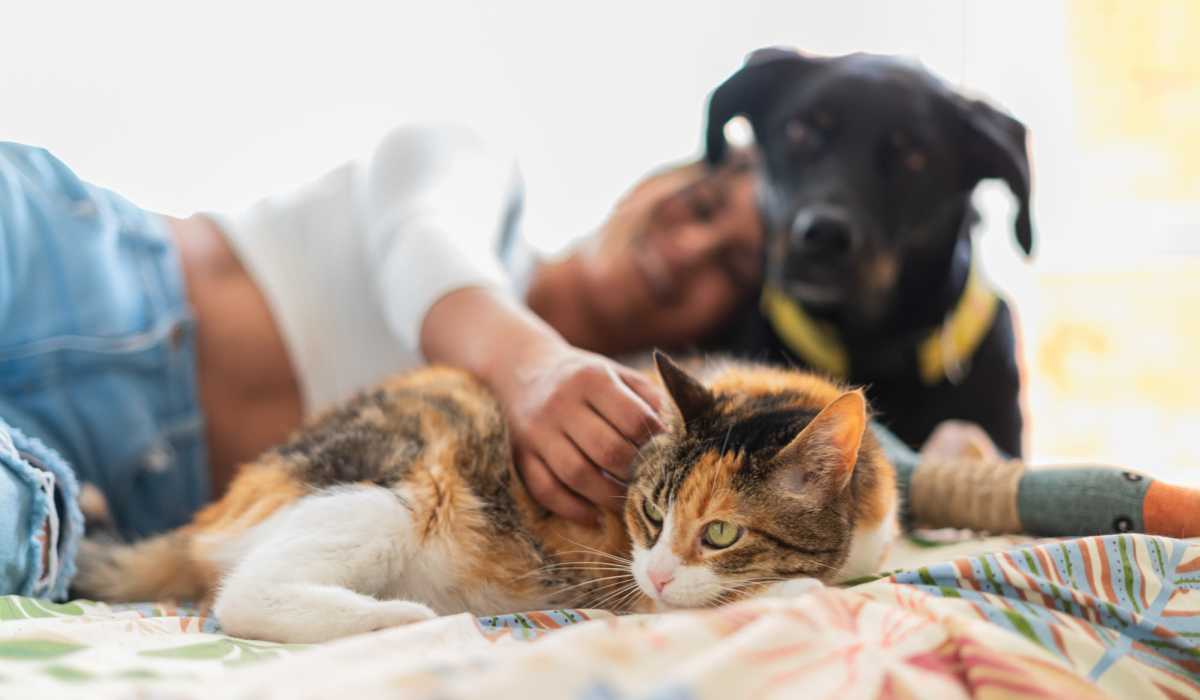 Resident with her pets in her pet-friendly apartment at The Summit At Metrowest in Orlando, Florida