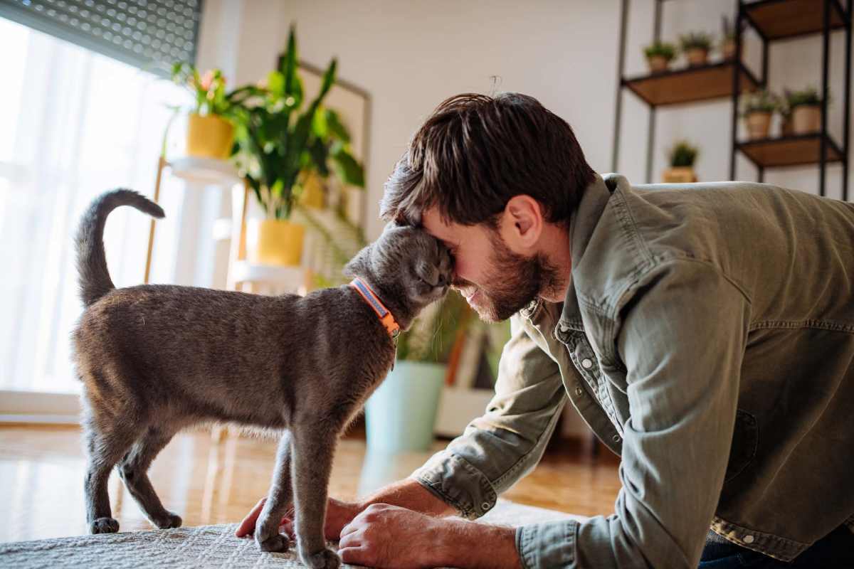 Resident with his pet cat at Dulles Center Apartments in Herndon, Virginia