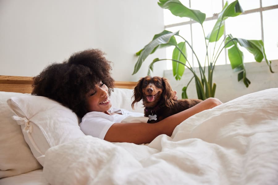 Resident cuddling with her dog at 2400 Briarwest in Houston, Texas