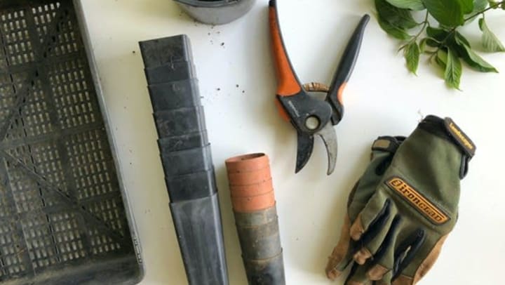 Garden tools, plat leaves and gloves on a white table | Unsplash