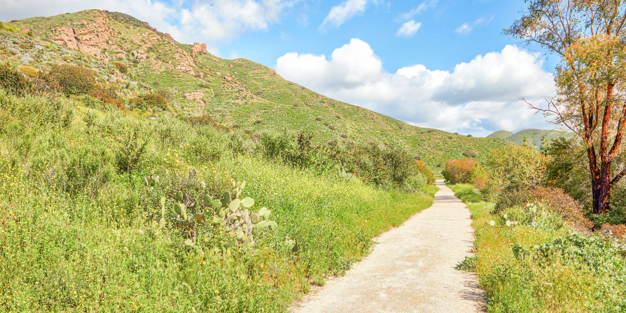 Beautiful views of the hills on a walking path at The Villas at Anacapa Canyon in Camarillo, California