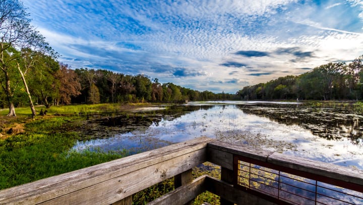View of a lake with trees on the left and right sides and a blue cloudy sky above