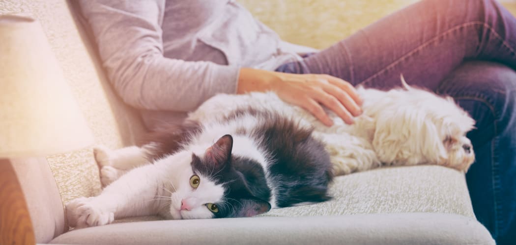 Resident relaxing with her pets in their new home at Renaissance St. Andrews in Louisville, Kentucky