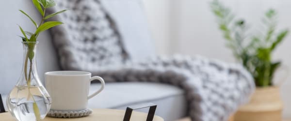 Vase and mug on a side table next to a couch at Lake Forest at Swift Creek in Midlothian, Virginia