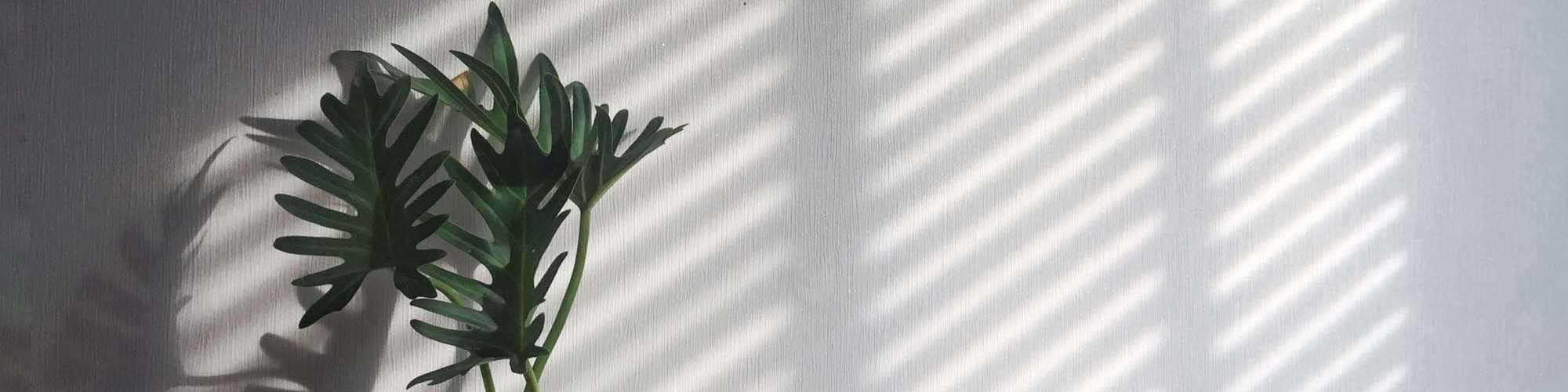 FAQ | 2202 Luann Place Apartments in Madison, Wisconsin