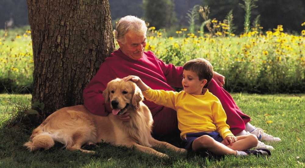 Resident and his grandson playing with their pet at Olive Tree Terrace in West Covina, California 