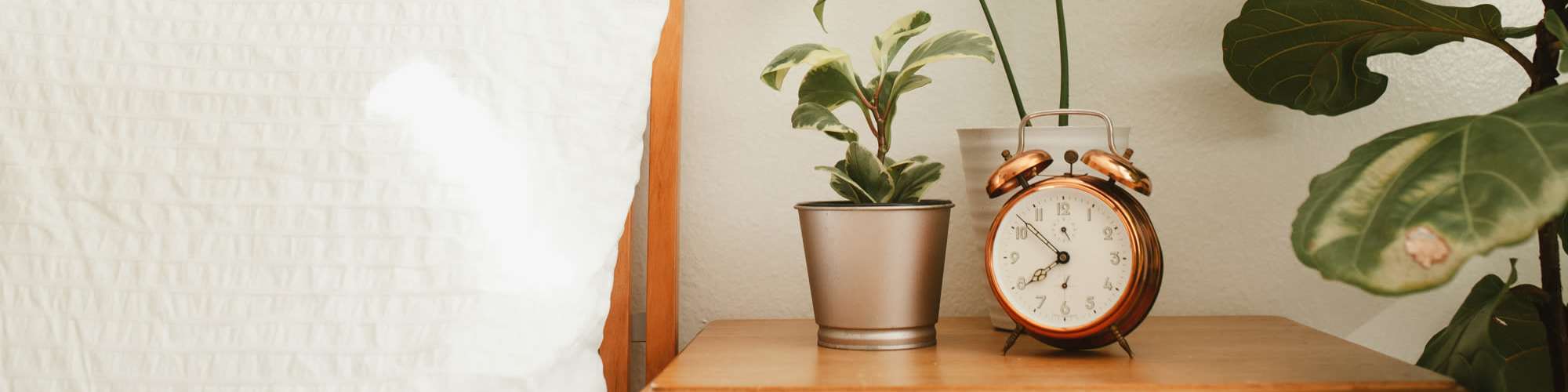 Accessibility Statement | Butler Park in Andrews, Texas