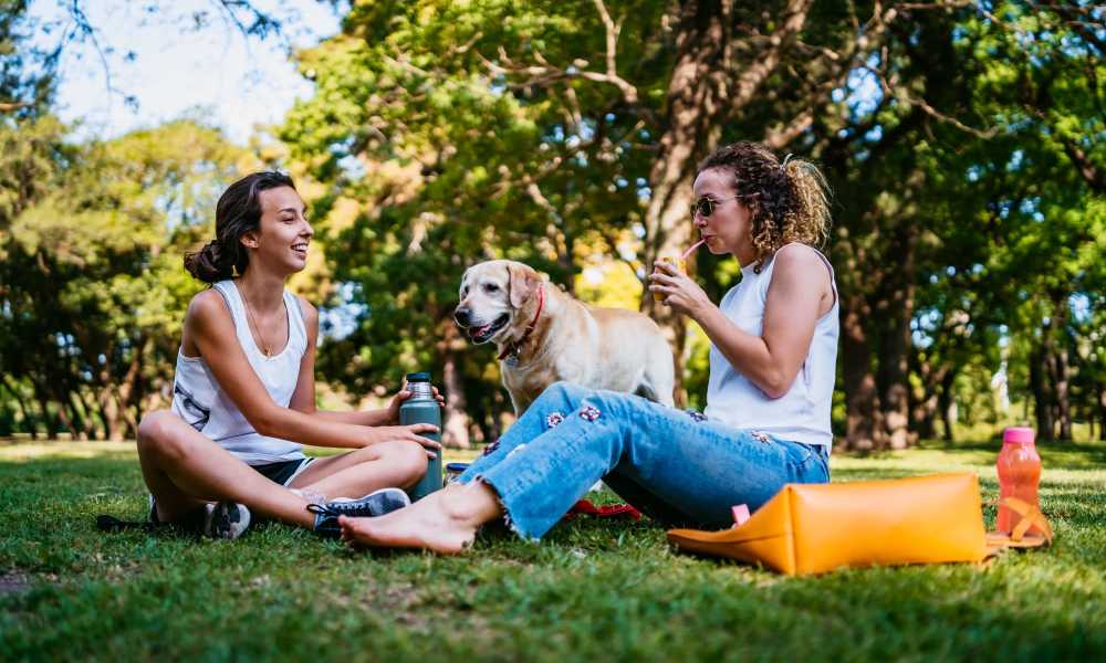 Puppy and their owner relaxing at The Grand Apartments in Chattanooga, Tennessee