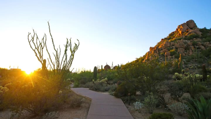 A paved trail in a rocky desert setting with cacti and bushes against a backdrop of a clear sky at sunset | trails in Gilbert
