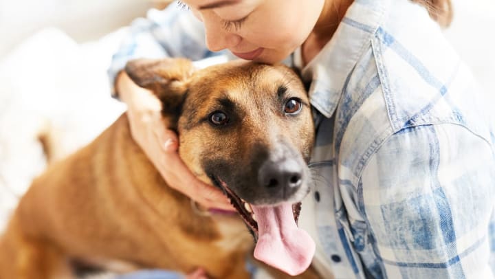 happy brown hound dog mix and owner | dog friendly apartment