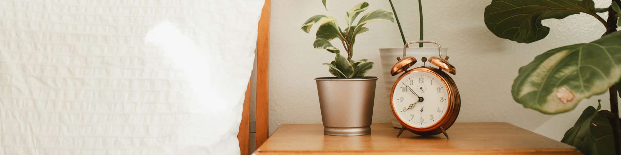 Accessibility Statement | North Grand Villas in Amarillo, Texas