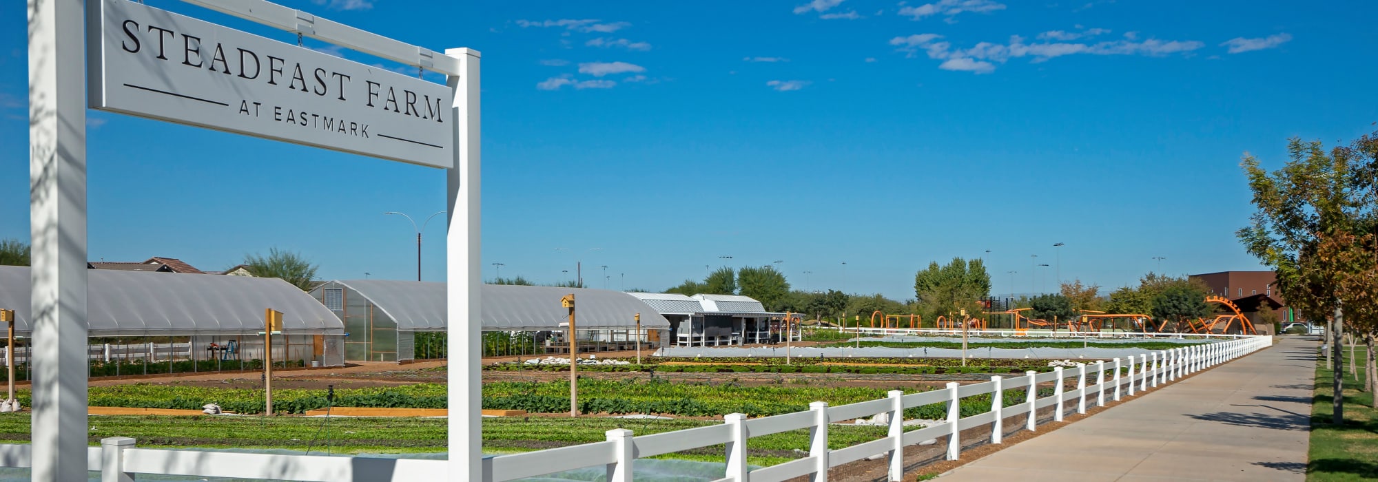 Mesa, AZ Apartments & Townhomes for Rent BB Living at Eastmark