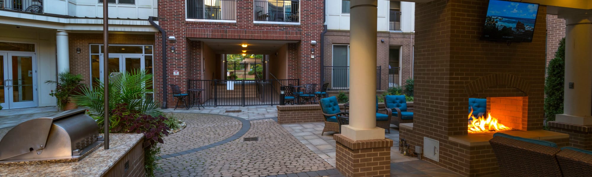 Pet friendly at 401 Oberlin in Raleigh, North Carolina