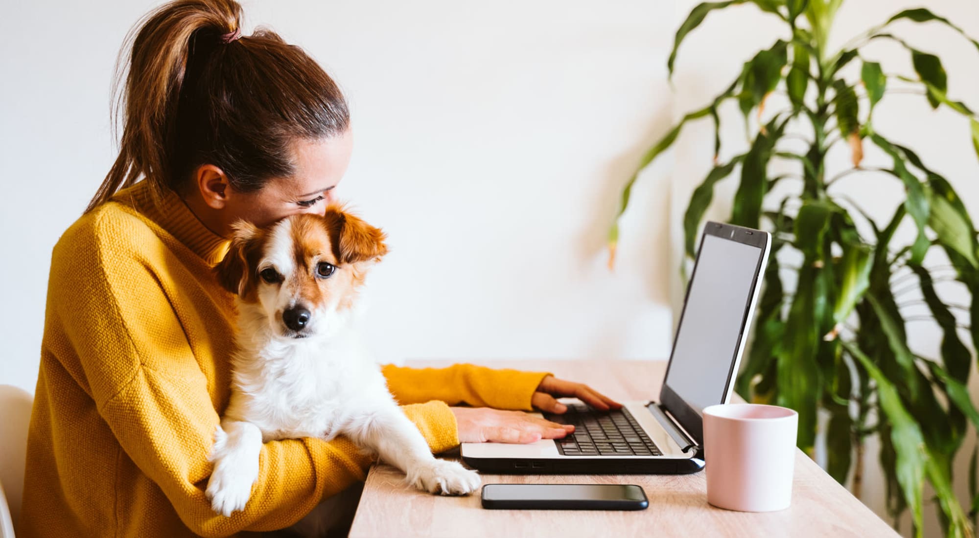 Owner holding pet while working from home at Mariners Village in Marina del Rey, California