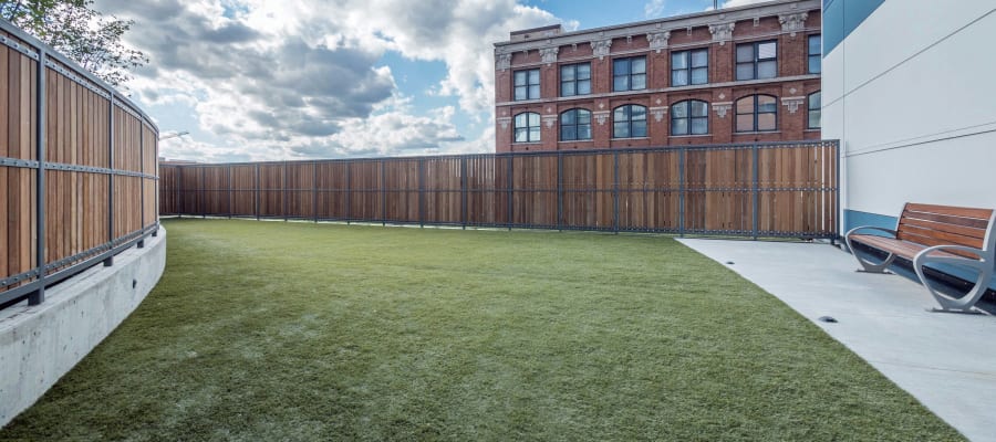 Spacious dog park for all the pets to play at The Parker Fulton Market in Chicago, Illinois