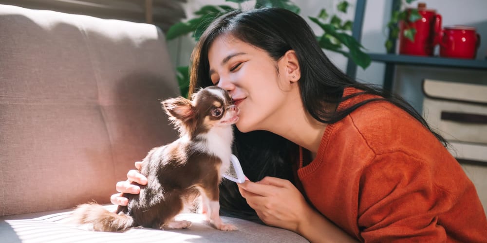 Resident and her dog in a pet-friendly apartment at Coronado Springs East in Palm Springs, Florida