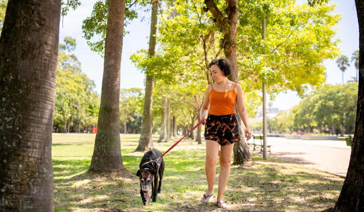 Happy dog on a walk outside at LeSilve in Middleton, Wisconsin 