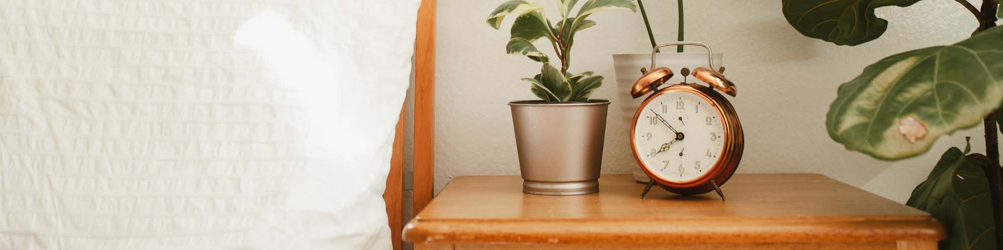 Photo Gallery | Arrowhead Park Apartments in Lakewood, Washington
