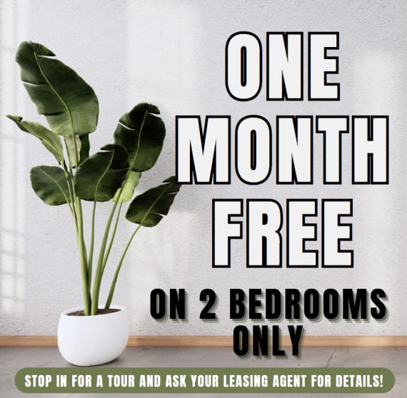 Verlaine on the Parkway TWO WEEKS Free on 2  BEDROOM UNITS ONLY. Limited Availability - Act Fast! **Discount applies after first full months rent.