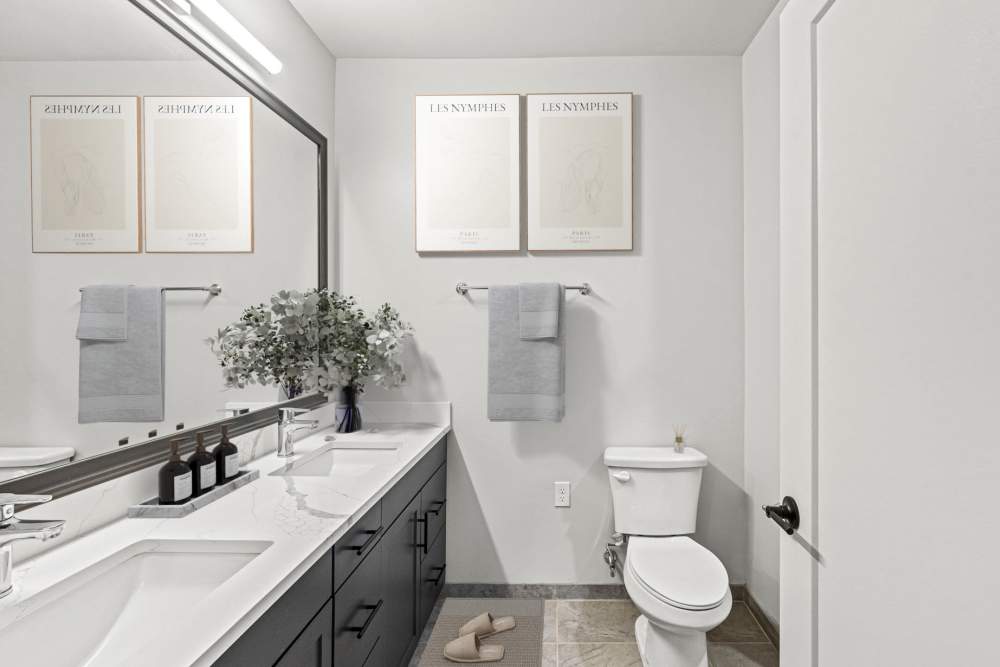 Render of a bathroom in an apartment at The Elysian at Stonefield in Charlottesville, Virginia