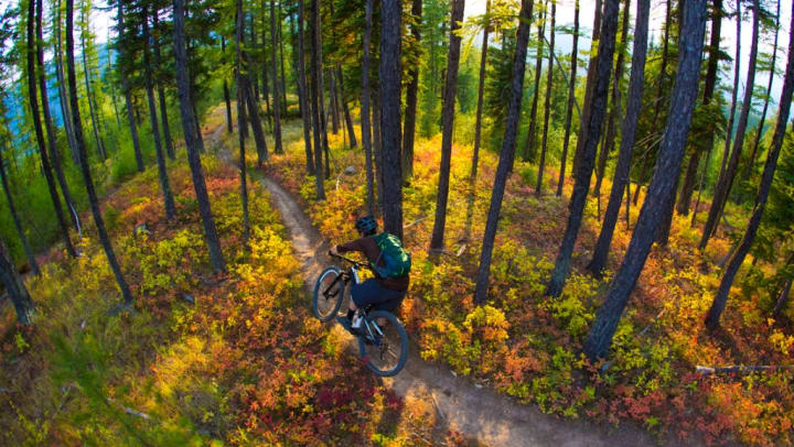 A person riding a mountain bike along a trail through the woods