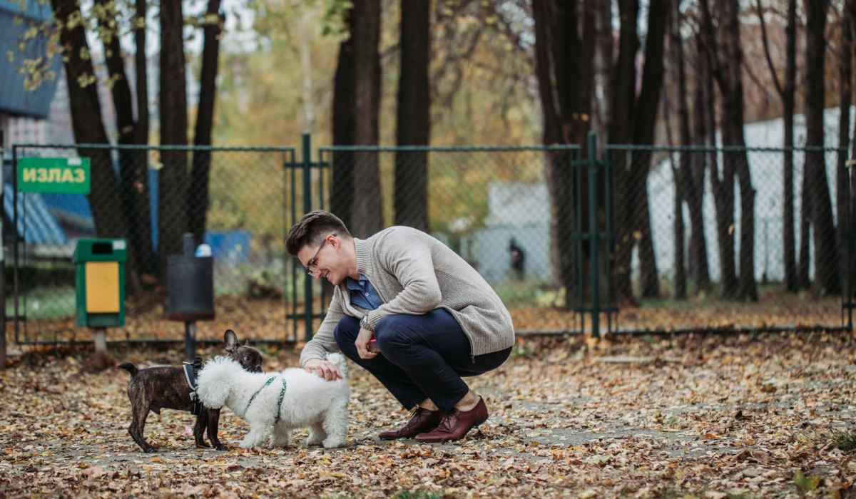 Person with dog outdoors at Pleasant View Townhomes in Baltimore, Maryland
