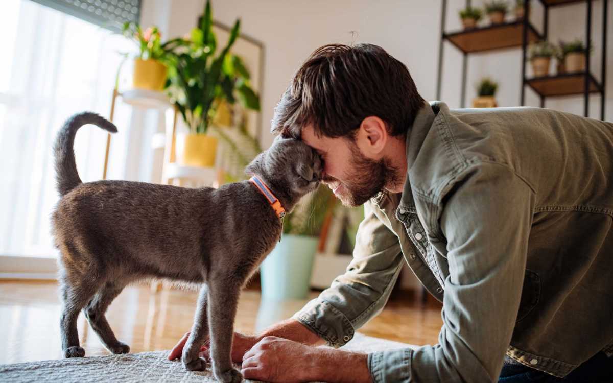 Resident petting his cat in their pet-friendly home at Camino Real San Antonio in San Antonio, Texas