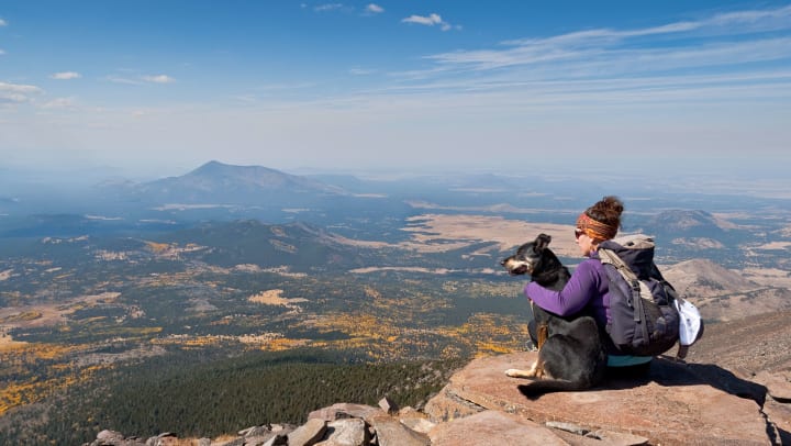 A woman sitting on a mountain peak in a hiking backpack and headband with her arm around a dog