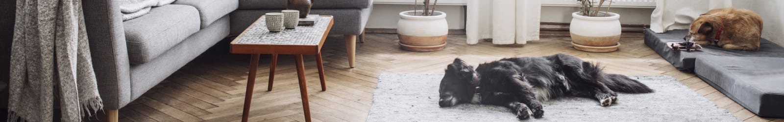 Spacious floor plans at Patriots Crossing in Newport News, Virginia