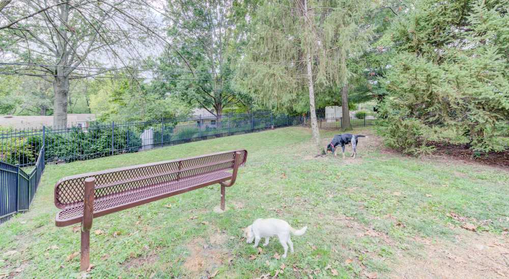 Pet-friendly at Boulder Springs in Maryland Heights, Missouri