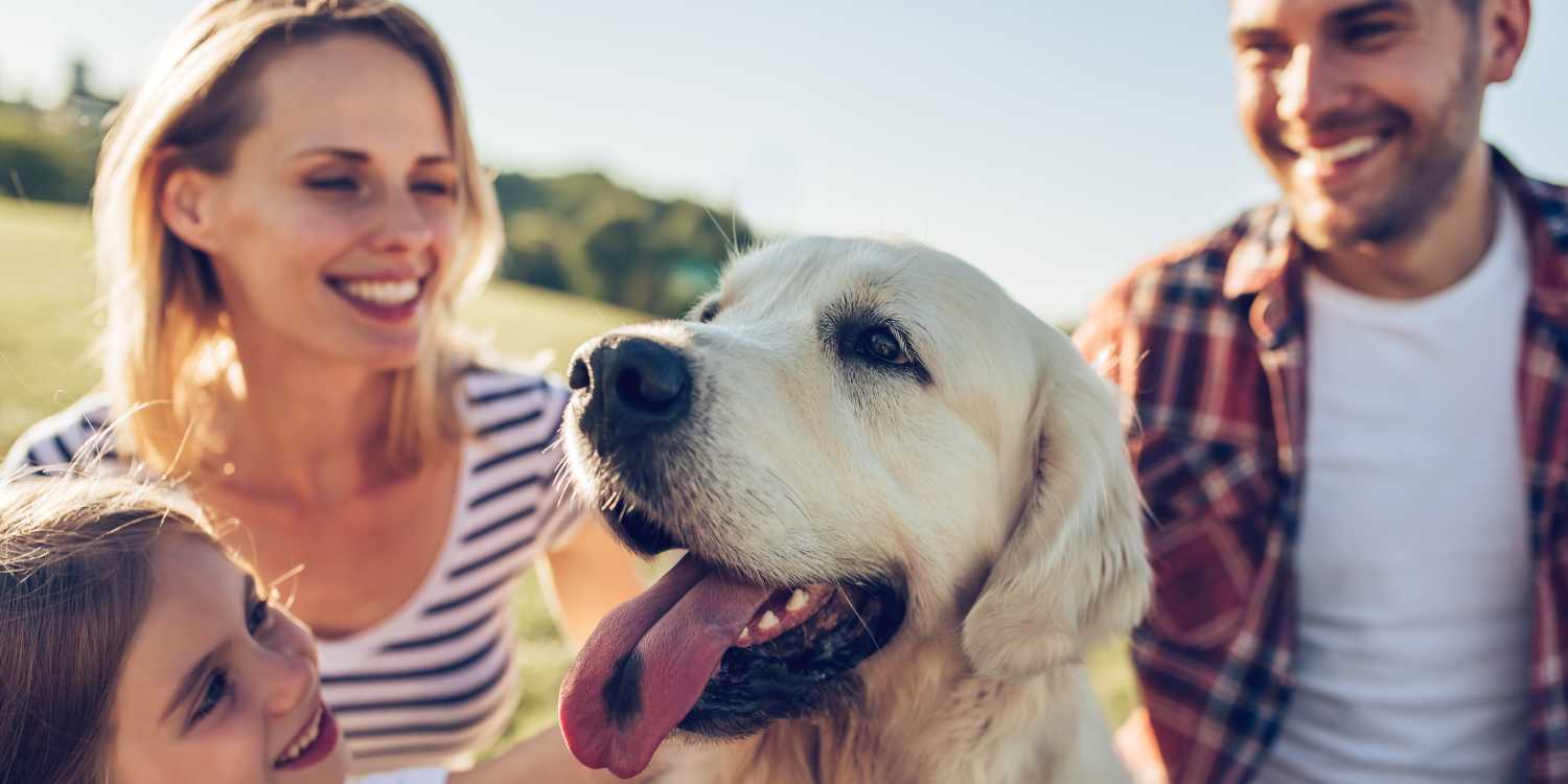 Pet-friendly homes at The Lock at Flatirons in Broomfield, Colorado