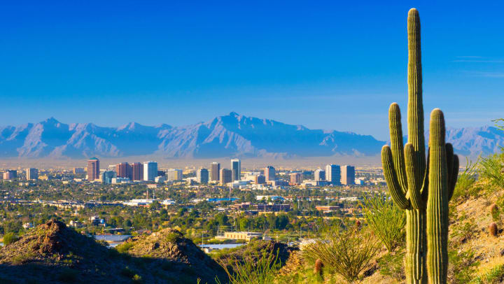 A view of Phoenix from the desert with a cactus in the foreground