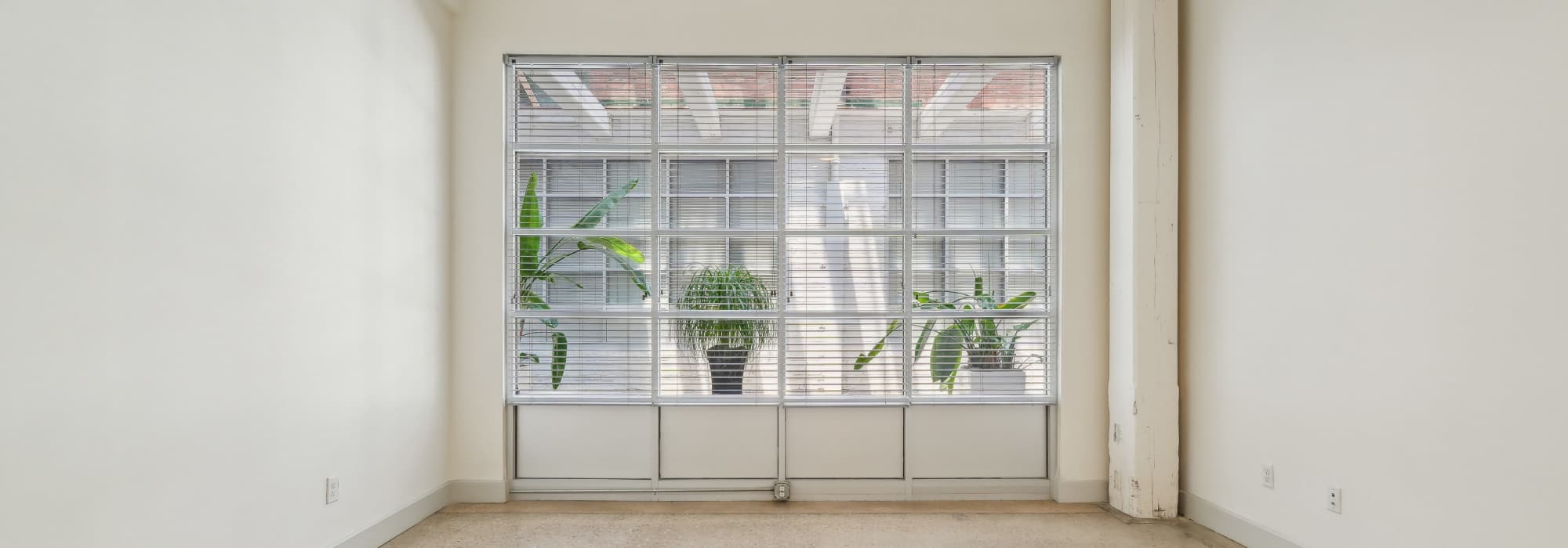 Virtual Tour at South Bank in Richmond, Virginia