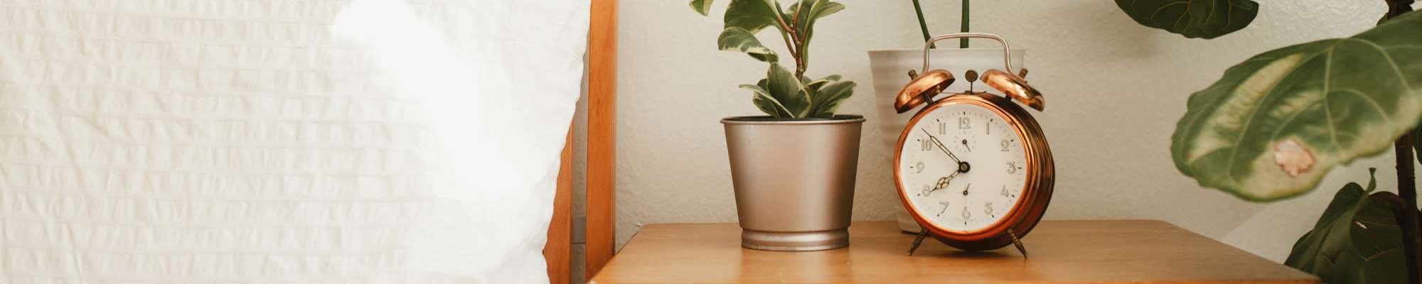 Accessibility statement at Westminster Apartments in Spokane, Washington