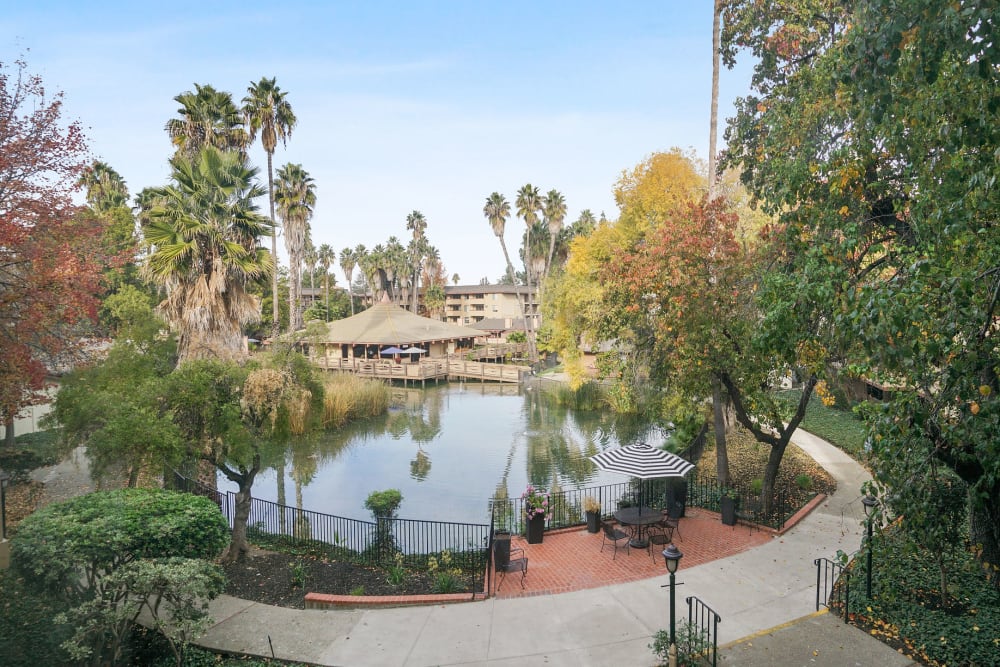 View of pond and leasing office at Palm Lake Apartment Homes in Concord, California