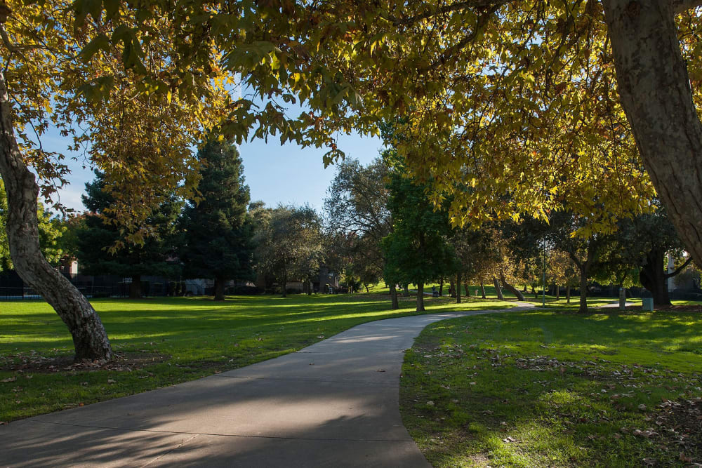 Beautiful park right next to Shore Park at Riverlake in Sacramento, California