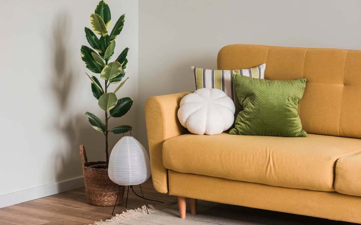 Living room with couch at Meridian Oaks in Tallahassee, Florida